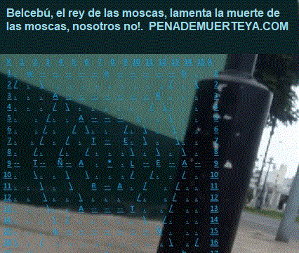 caiste-en-mis-redes-insecto