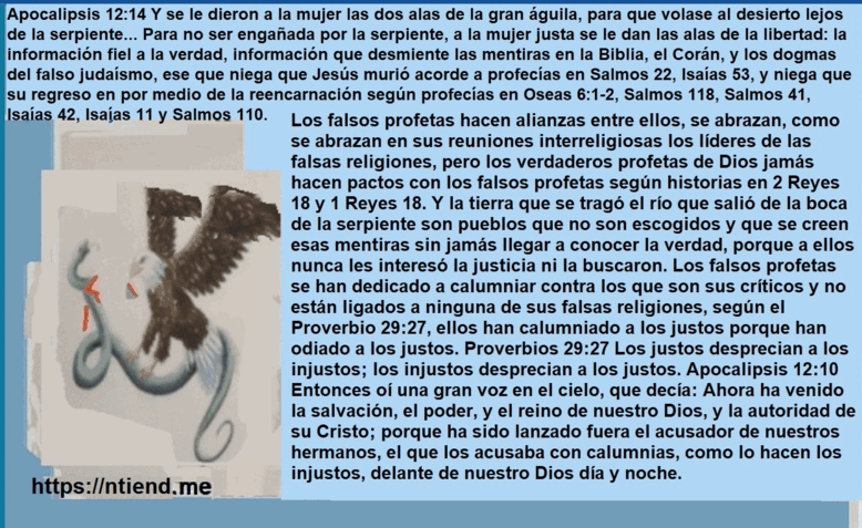 Apocalipsis 12 14 cuales son las alas de la gran aguila